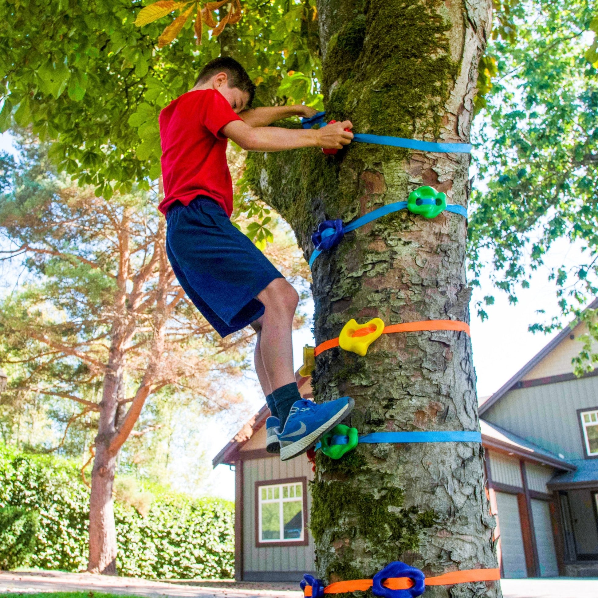 Monkey Tree Climbers - Hyponix Sporting Goods